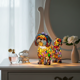 Prinses Magische Betovering