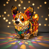 Stralende corgi